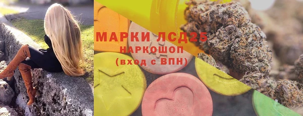 мяу мяу мука Абаза