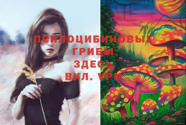 бошки Абдулино