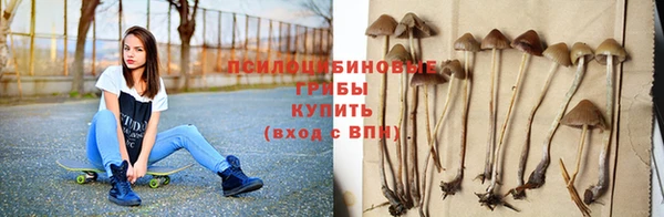 бошки Абдулино