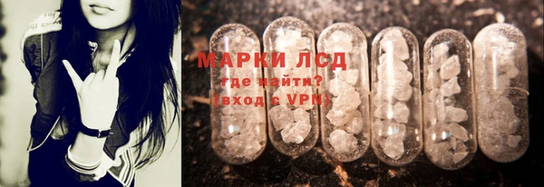 мяу мяу мука Абаза