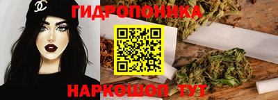 спиды Брянск