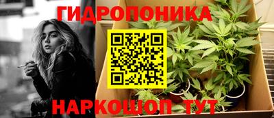 спиды Брянск