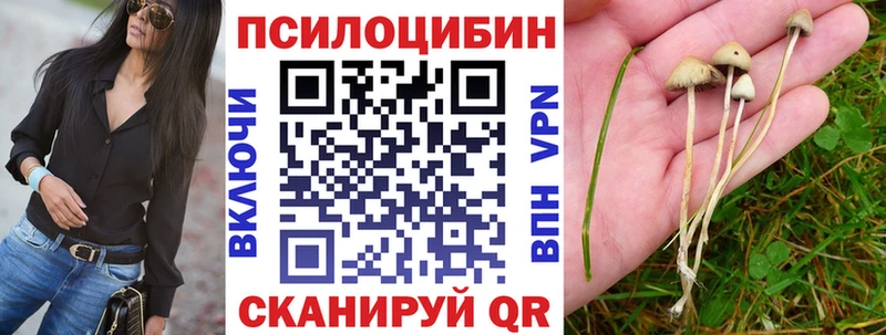 Псилоцибиновые грибы Psilocybine cubensis  mega ссылки  Липецк 