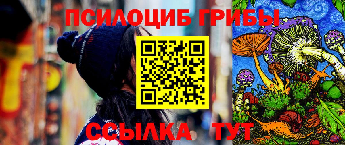 Галлюциногенные грибы Psilocybe Липецк