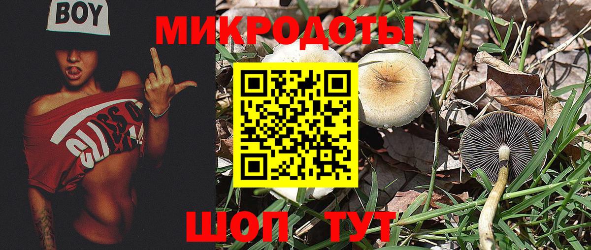 Галлюциногенные грибы Psilocybine cubensis  наркошоп  Липецк  Вход с VPN 